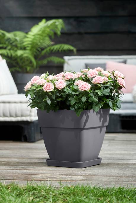 loft urban soucoupe carrée 22cm anthracite